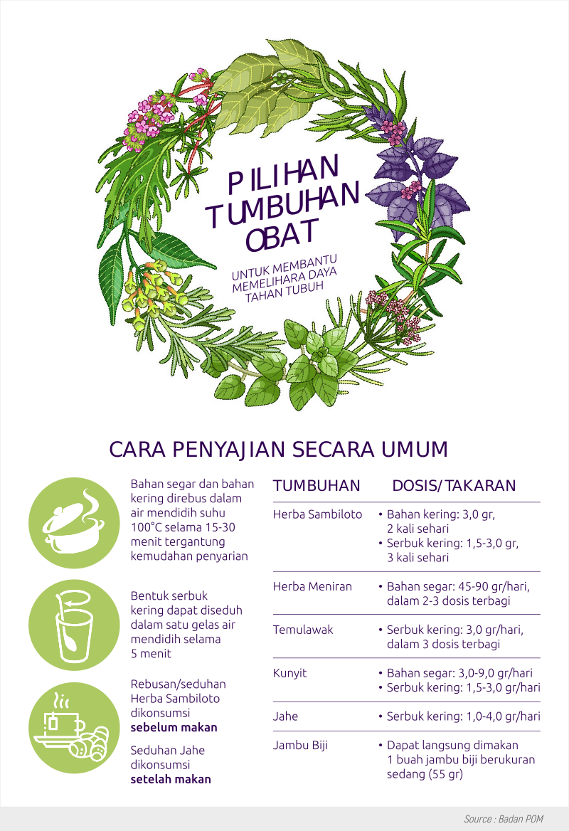 Pilihan Tumbuhan Obat