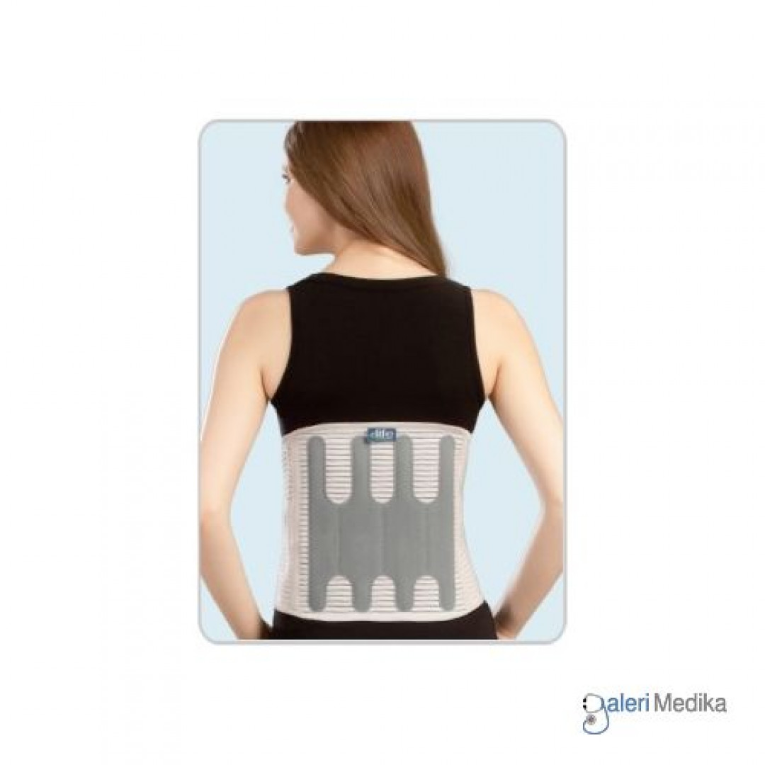 Elife E-WA011 Fit Lumbar Support