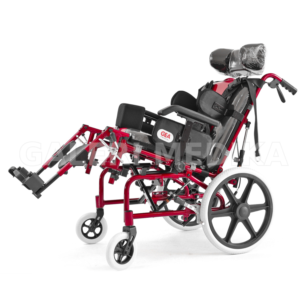 Kursi Roda Cerebral Palsy - GEA FS 958 LBHP