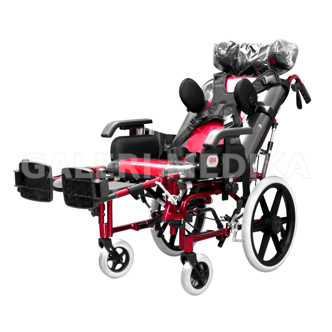 Kursi Roda Cerebral Palsy - GEA FS 958 LBHP