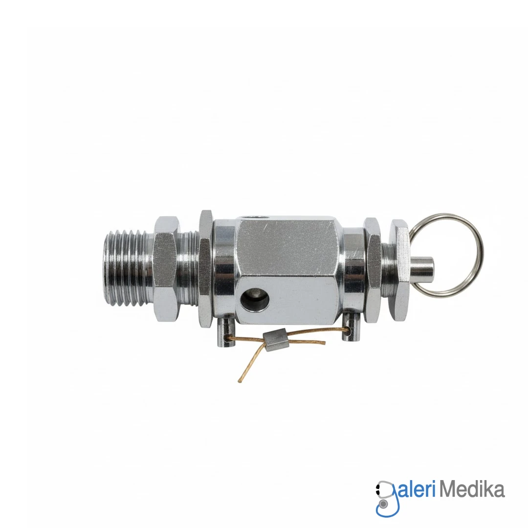 SPAREPART Safety Valve GEA Autoclave 35/50/75/100HD SPAREPART Safety Valve GEA Autoclave 35/50/75/100HD