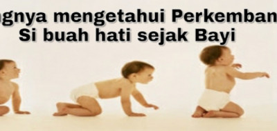 Pentingnya Mengetahui Perkembangan Si Buah Hati sejak Bayi
