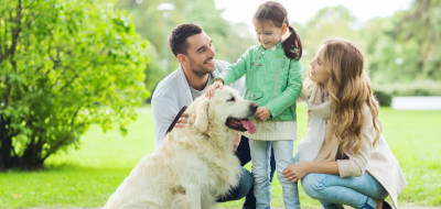 Manfaat Memelihara Hewan Bagi Kesehatan Anda