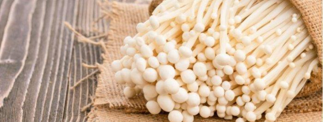 Jamur Enoki Yang Mengandung Bakteri Listeria Apakah Berbahaya?