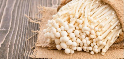 Jamur Enoki Yang Mengandung Bakteri Listeria Apakah Berbahaya?