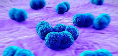 Bahaya meningitis Yang Perlu Anda Ketahui