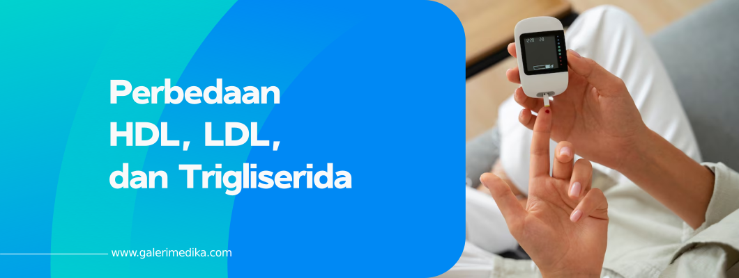 Perbedaan HDL, LDL, dan Trigliserida