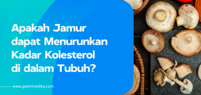 Apakah Jamur dapat Menurunkan Kadar Kolesterol di dalam Tubuh?