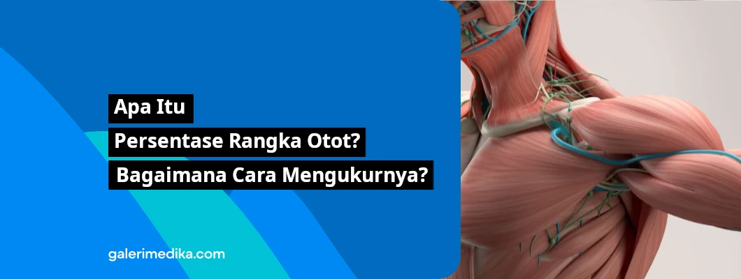 Apa Itu Persentase Rangka Otot? Bagaimana Cara Mengukurnya? Apa Itu Persentase Rangka Otot? Bagaimana Cara Mengukurnya?