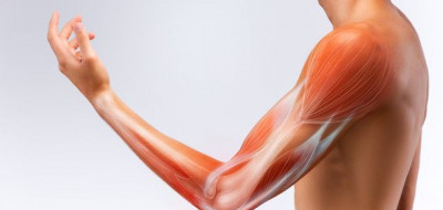 Nyeri otot membuat sulit beraktivitas, Begini Cara Mengatasinya