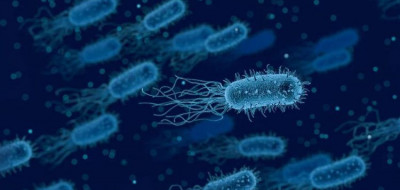 Ketahui Perbedaan Virus Dengan Bakteri, Ini Ulasannya