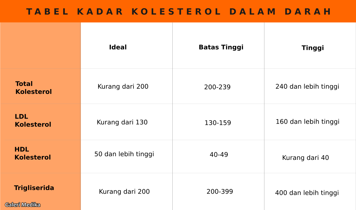 Kadar Kolesterol Dalam Darah