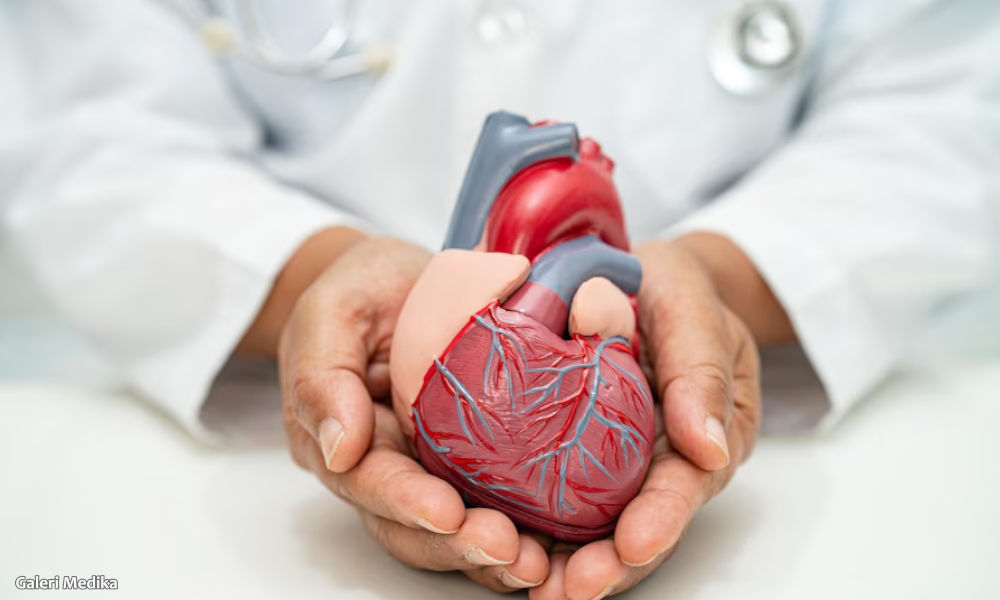 Bagaimana Cara Mengurangi Resiko Penyakit Jantung?