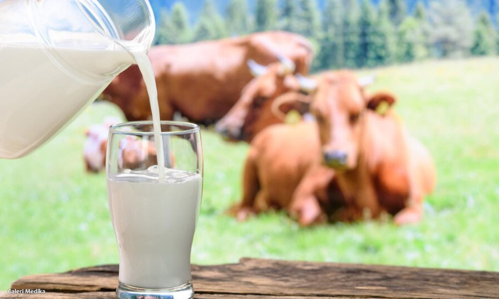 Jenis Susu Apa yang Terbaik Bagi Seseorang dengan Kolesterol Tinggi?