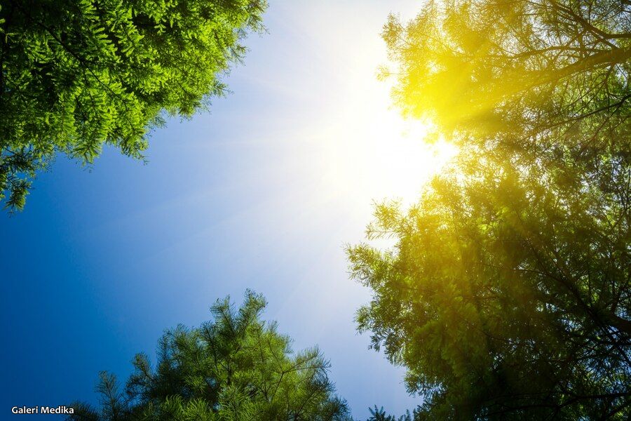 Perbedaan Lampu Terapi Infaramerah dengan Sinar Matahari