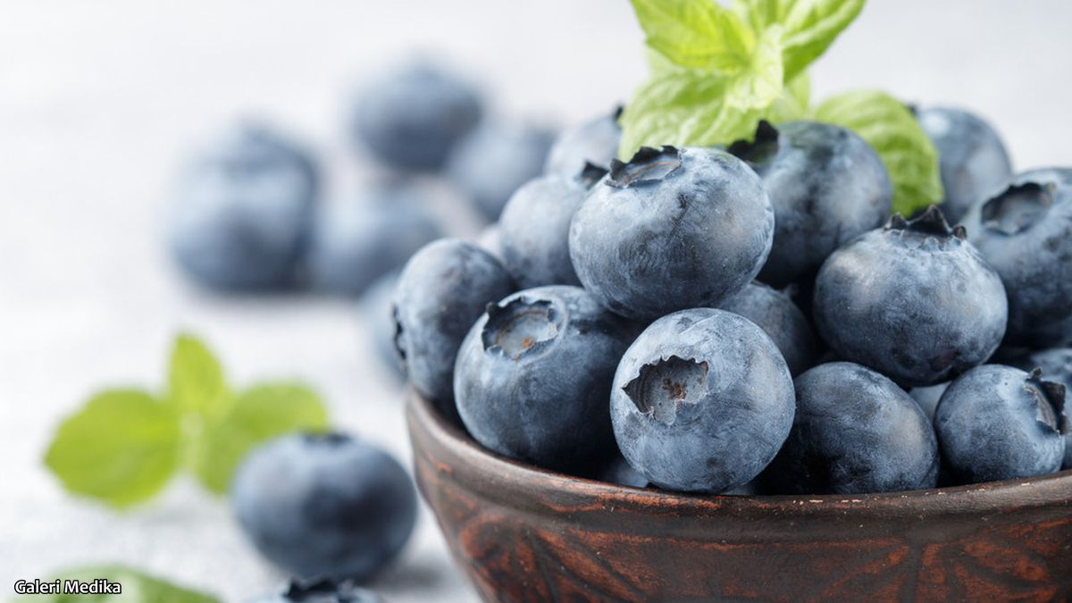 Buah Blueberry untuk Daya tahan tubuh