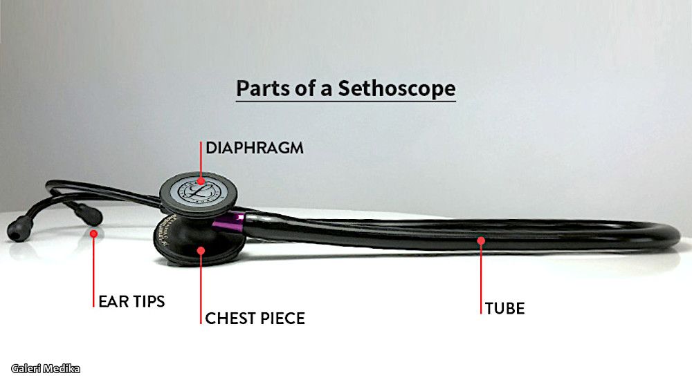 pilihan stetoskop untuk mahasiswa kedokteran