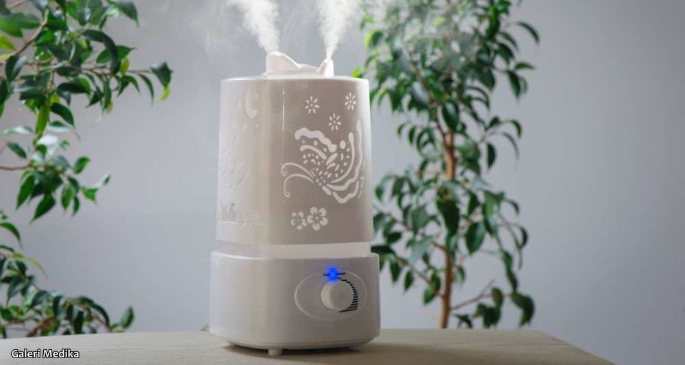 Air purifier dan humidifier discount