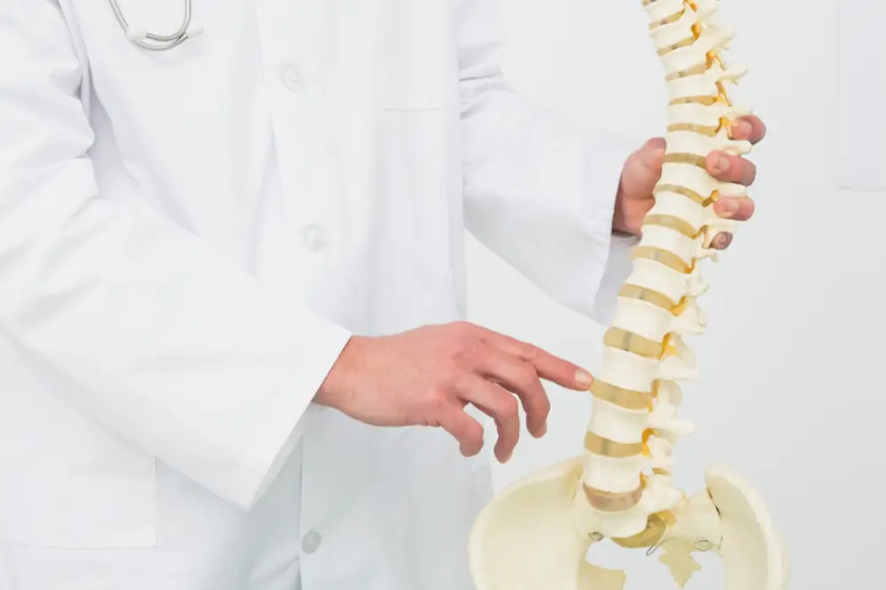 korset tulang belakang lumbar